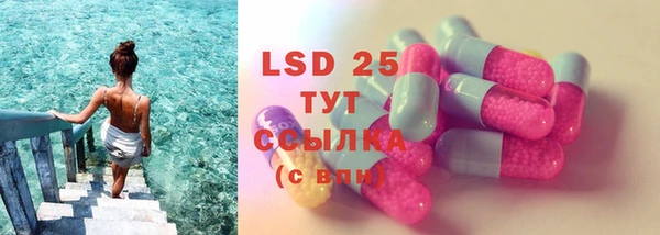 винт Верея