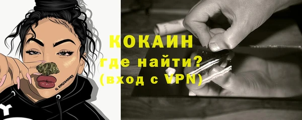винт Верея