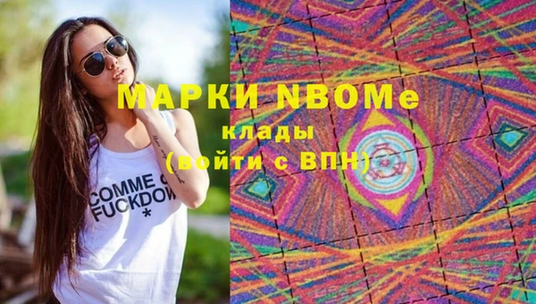 винт Верея