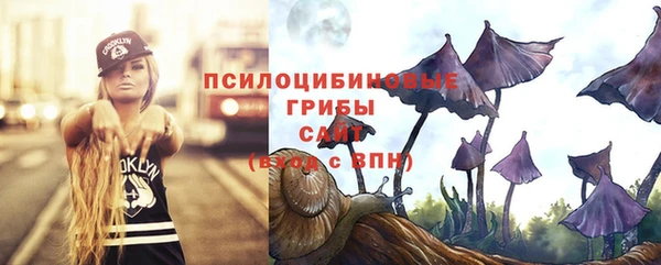 винт Верея